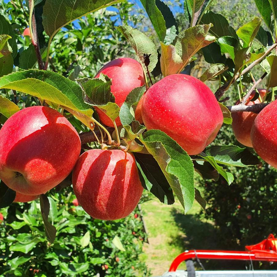 Mareinhof Vetzan-Apples,Apartment&More Силандро Экстерьер фото